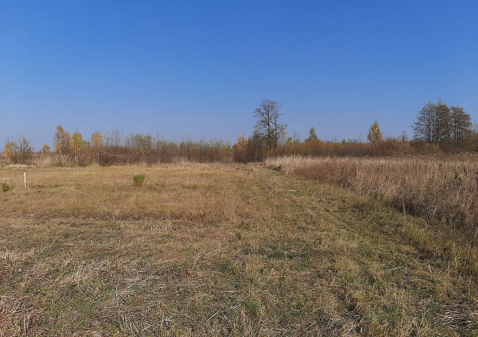 Ділянка 10 соток, вулиця Вільшанська: під житлову забудову, під гараж - фото 1