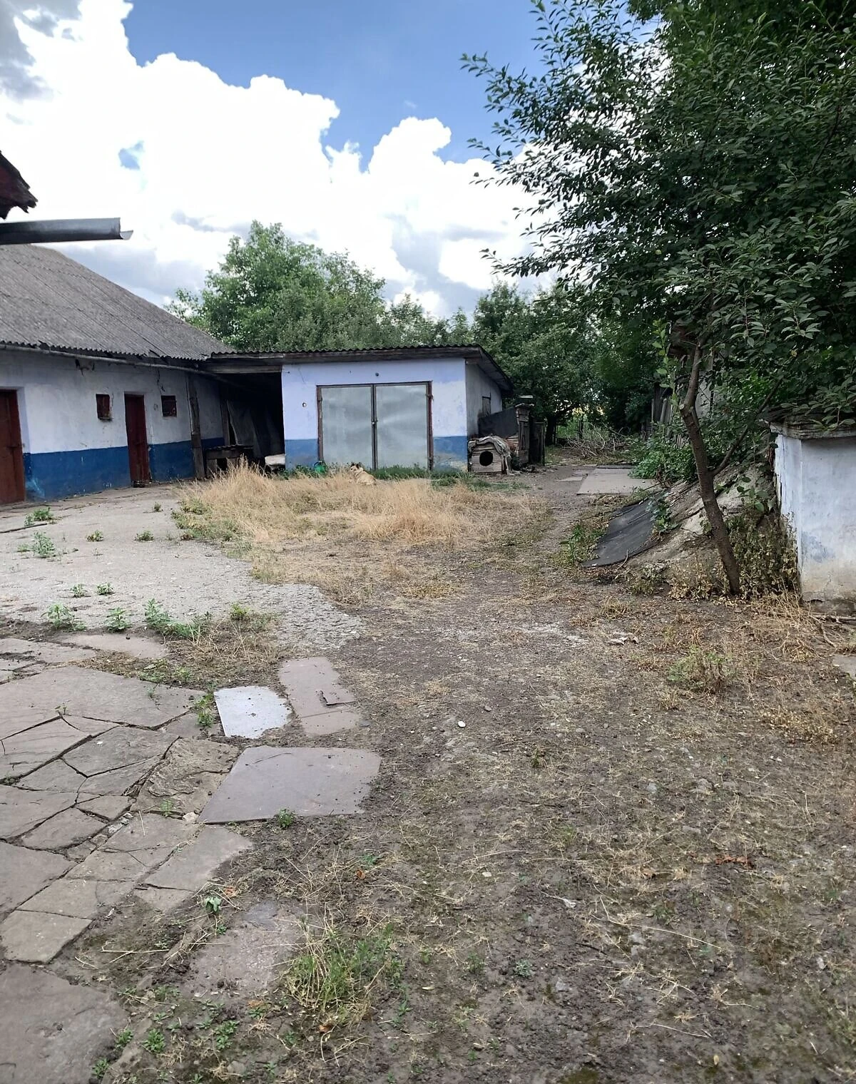 Дача, Ласківці: сад, цегляні стіни - фото 5