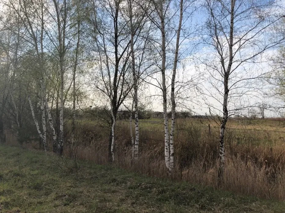 Ділянка 25 соток, Небрат: під житлову забудову, біля озера, фото 5