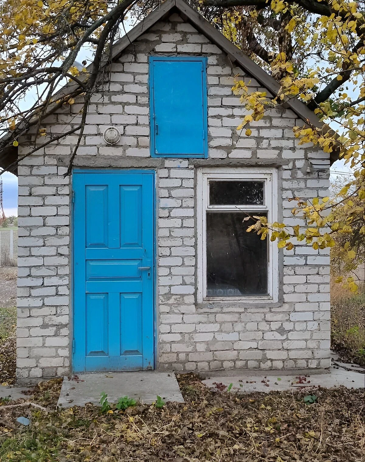 Будинок, Придніпрянське: ділянка 58 гектарів, цегляні стіни - фото 5
