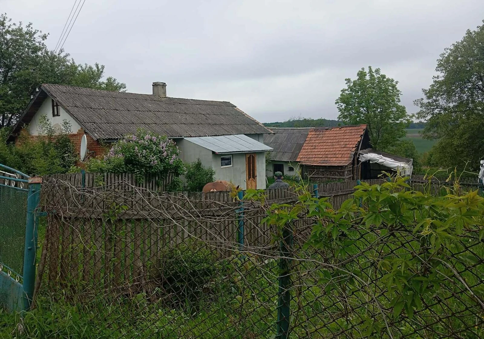 Дом, Залесье: кирпичные стены, две комнаты, фото 5