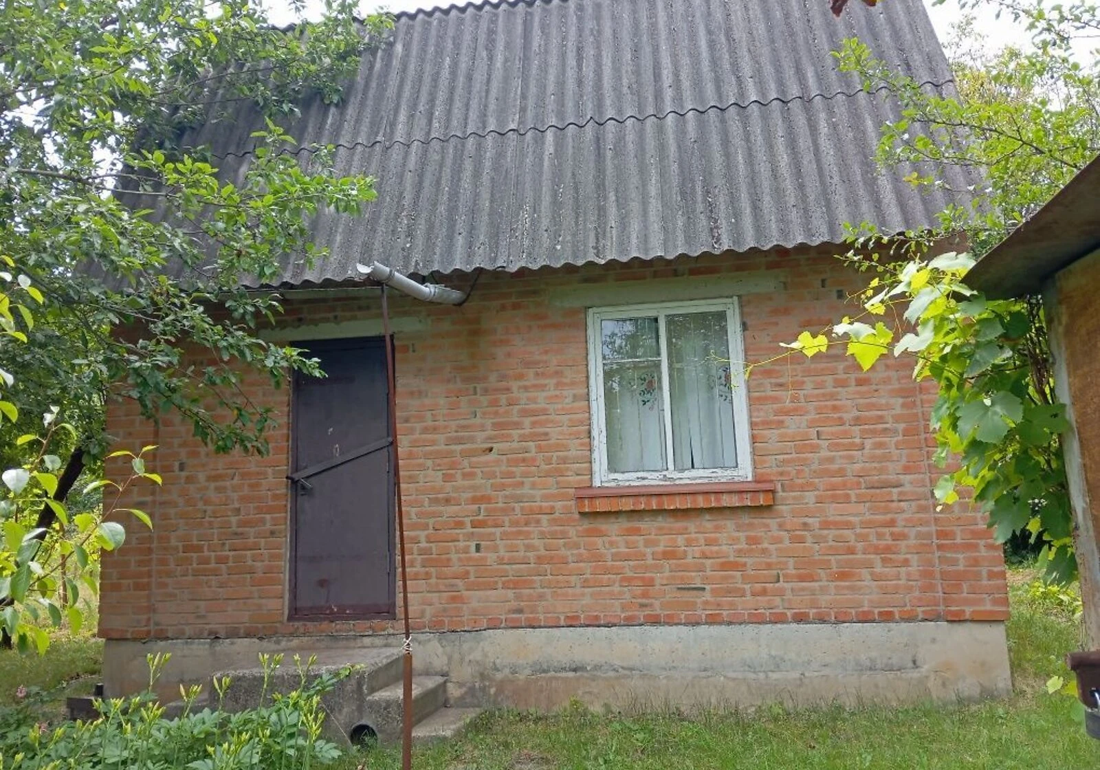 Дача, Машівка: свердловина, торг