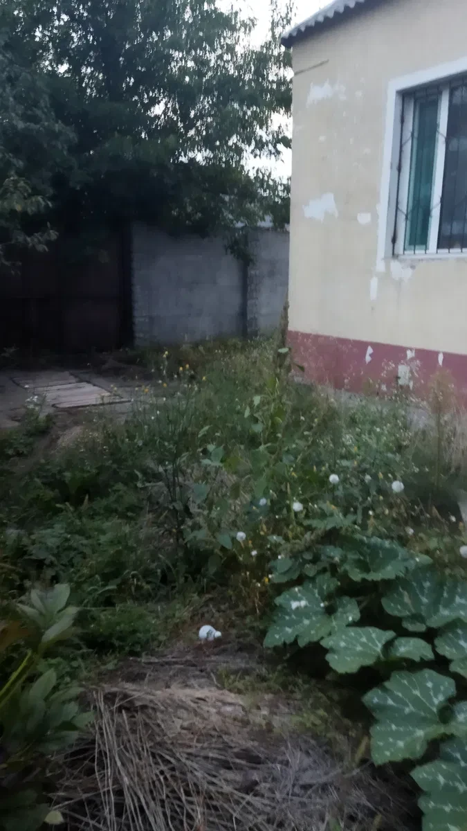 Частина будинку, Індустріальний: гараж на кілька авто, тераса, фото 3