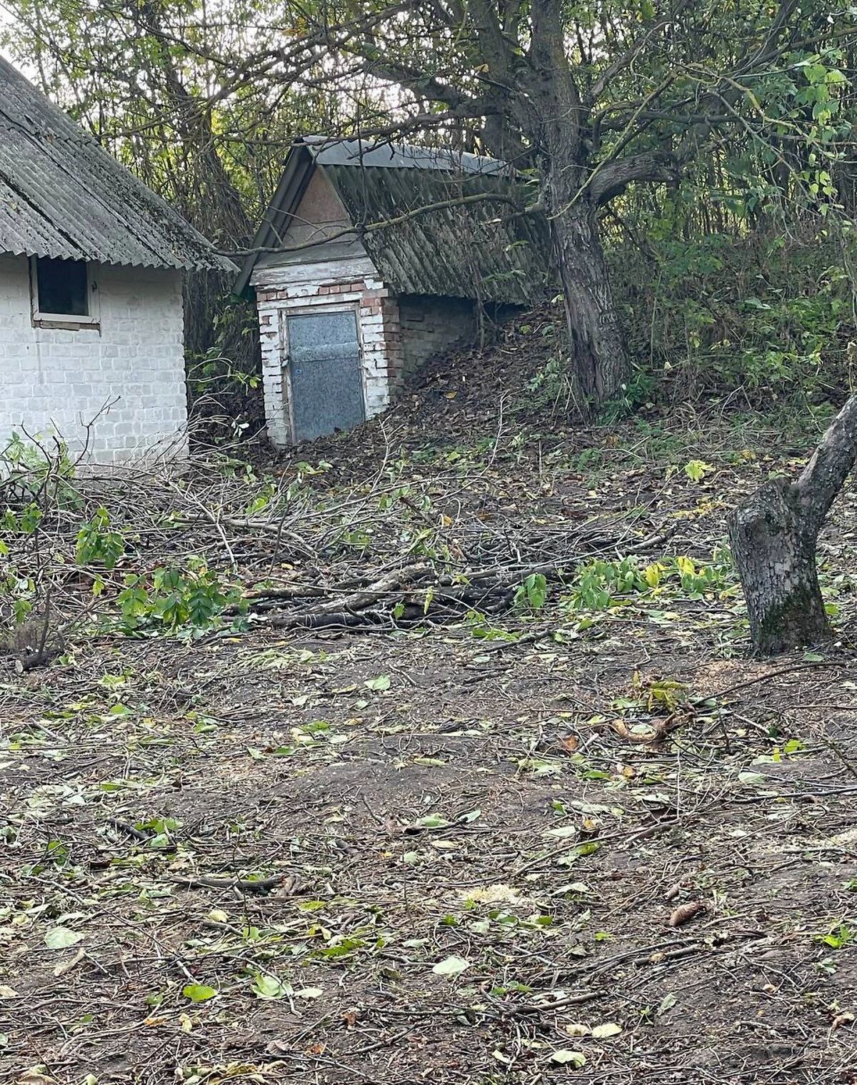 Ділянка 63 сотки, Верем'я: під житлову забудову, криниця, фото 4