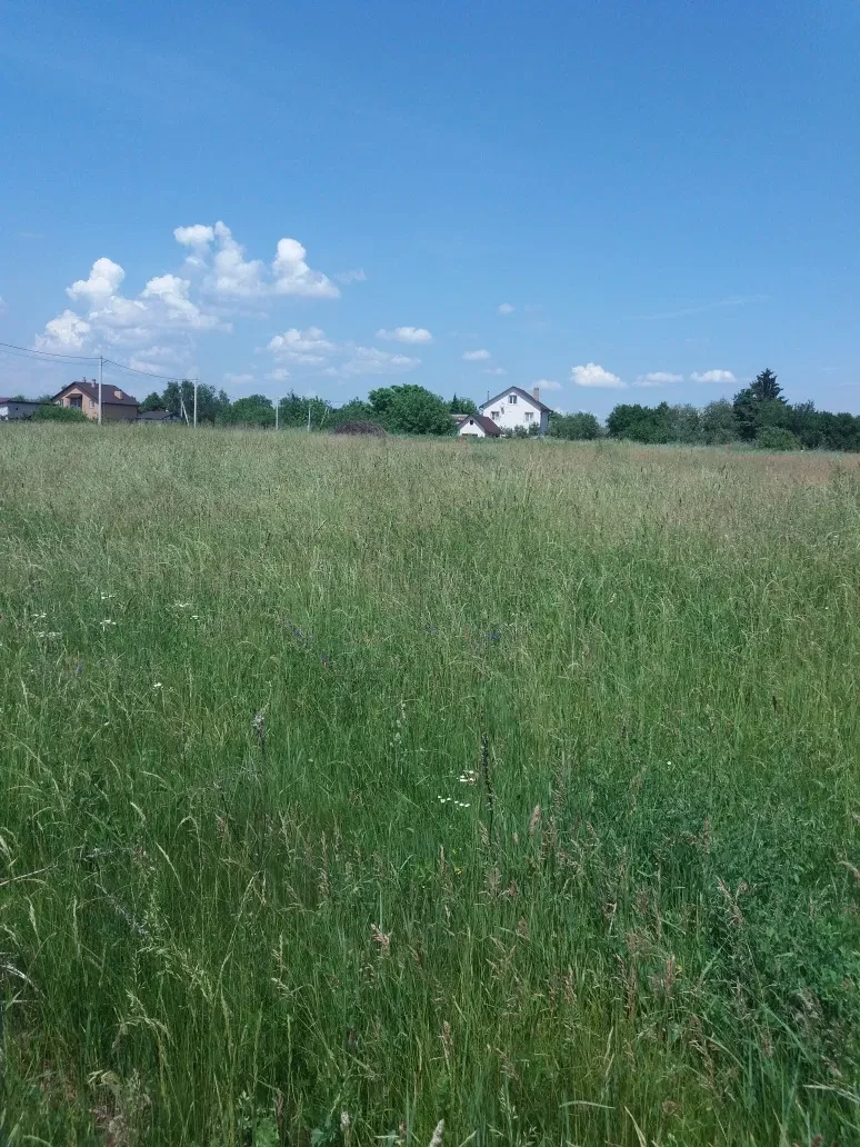Ділянка 14 соток, Глібівка: до берега моря 100 м, світло й газ поруч - фото 1