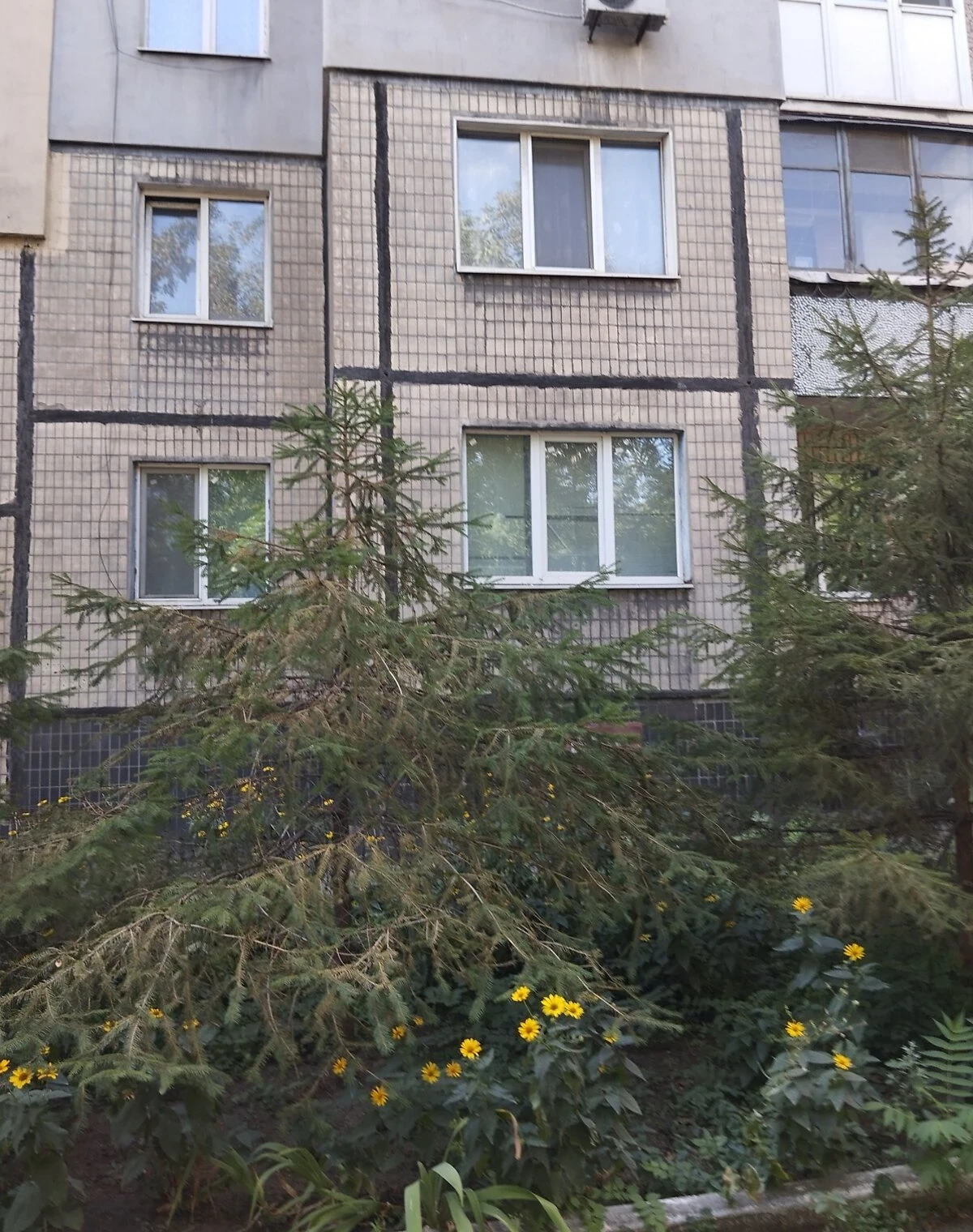 3-кімнатна квартира, Інгулецький: укриття врівень із землею - фото 3