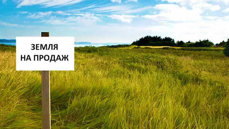 Ділянка 200 соток, Великокомарівка: ОСГ, пай, ще ділянки поруч