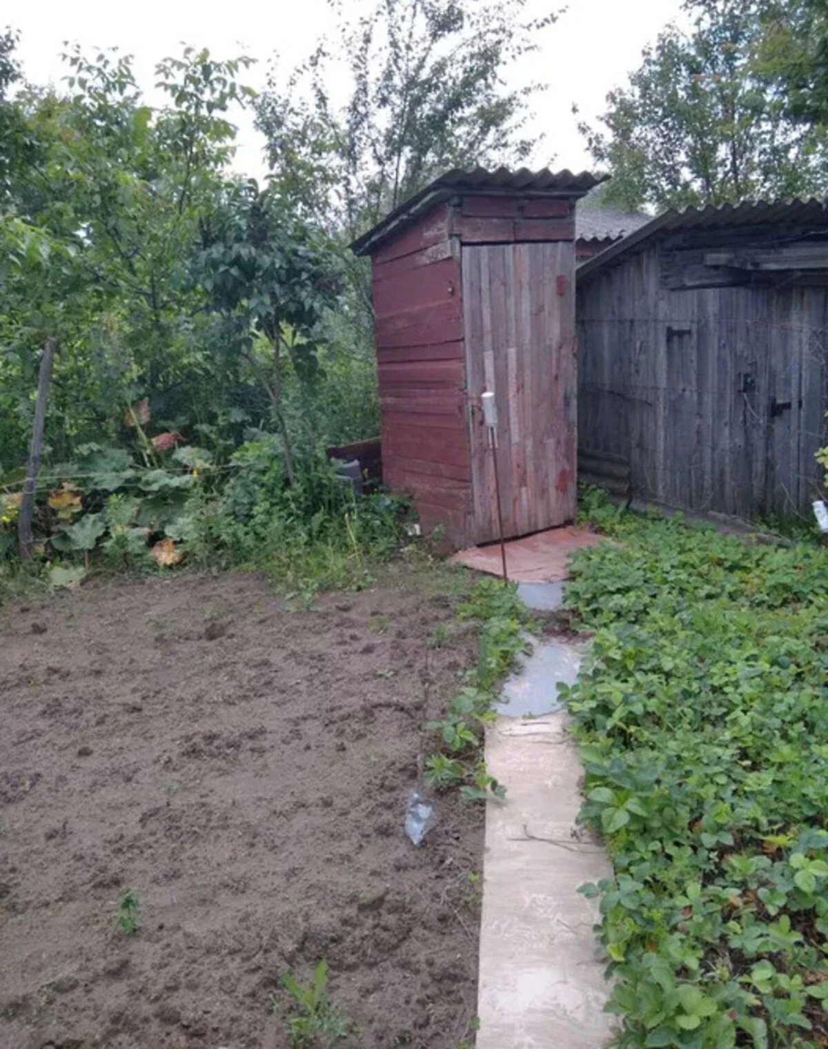 Будинок, Полуботки: дача, цегляні стіни, фото 2