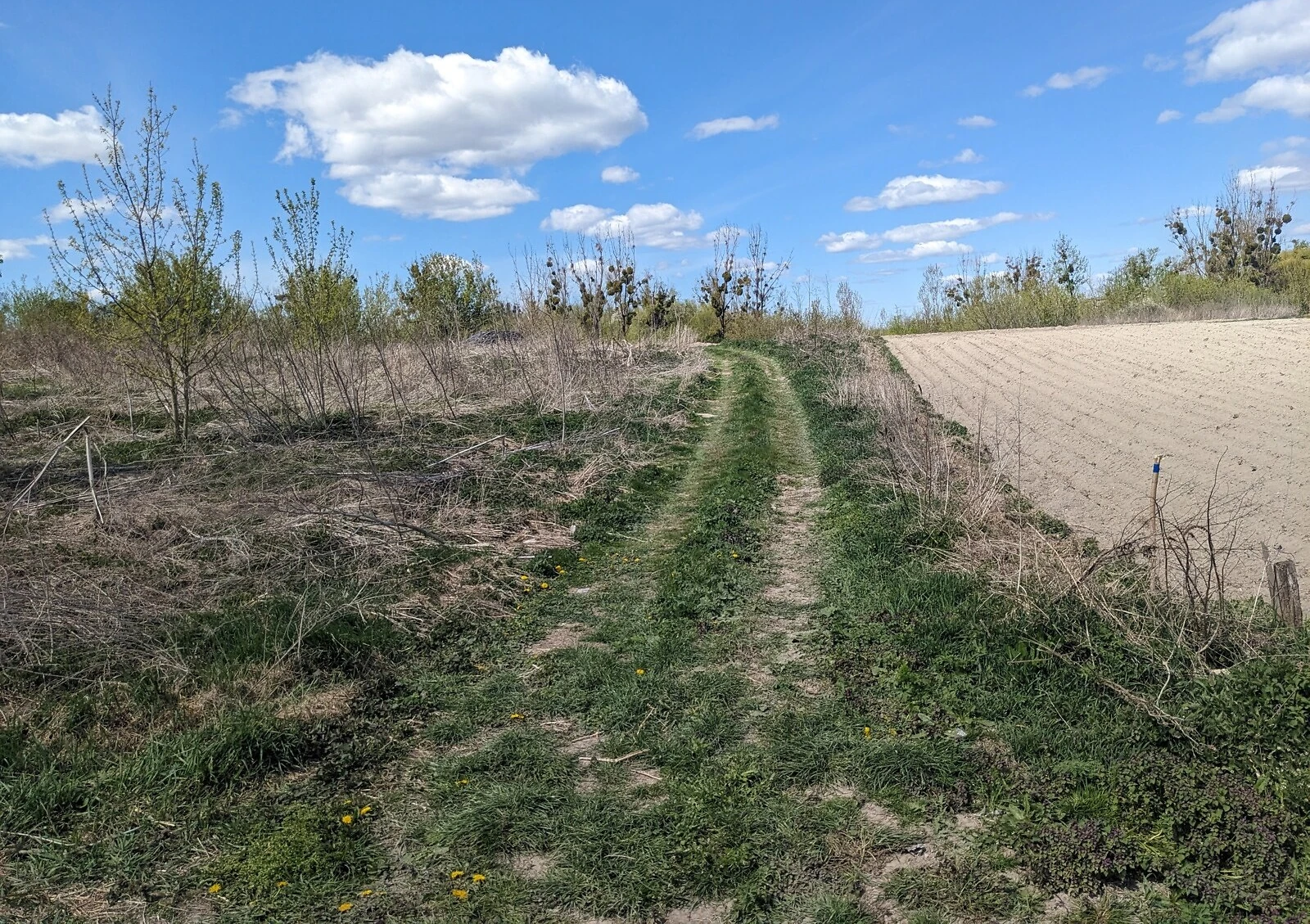 Ділянка 10 соток, Городок: під житлову забудову, природне озеро - фото 2