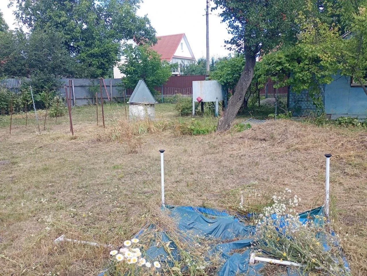 Дача, Мала Солтанівка: озеро поруч, комунікації на ділянці - фото 4