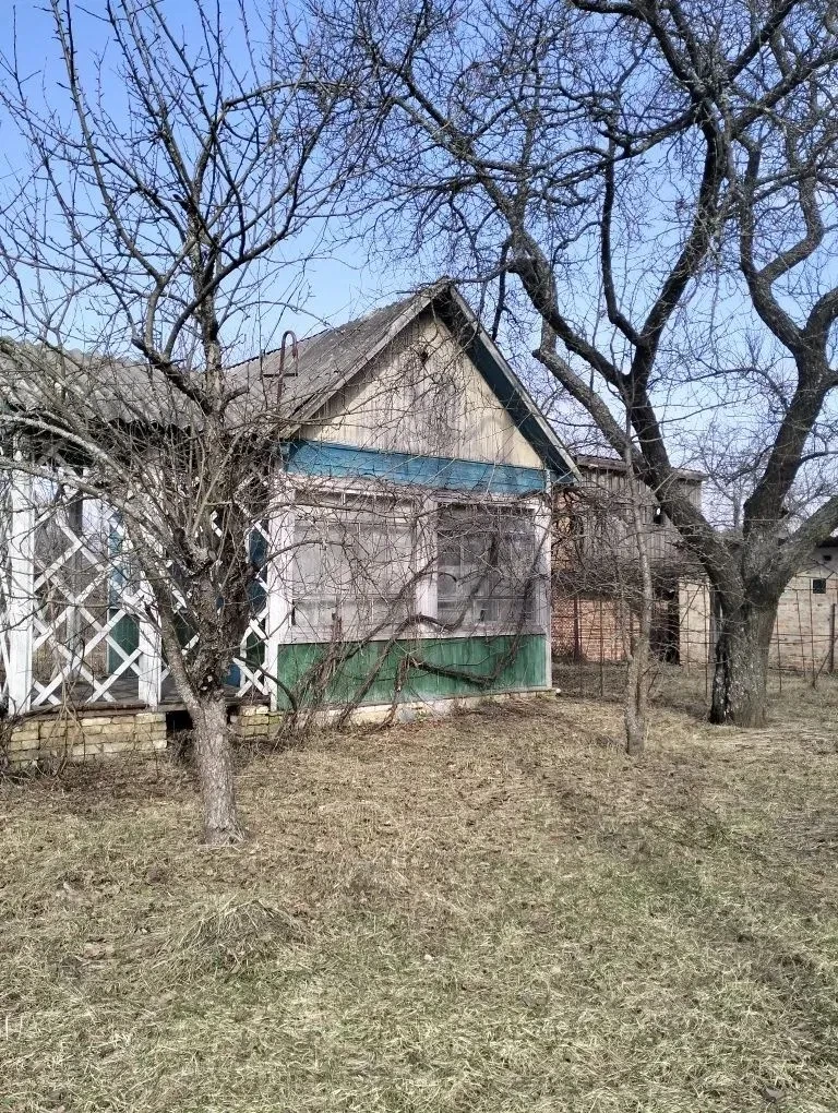 Дача, Чернігів: приватизована ділянка, світло і вода - фото 2
