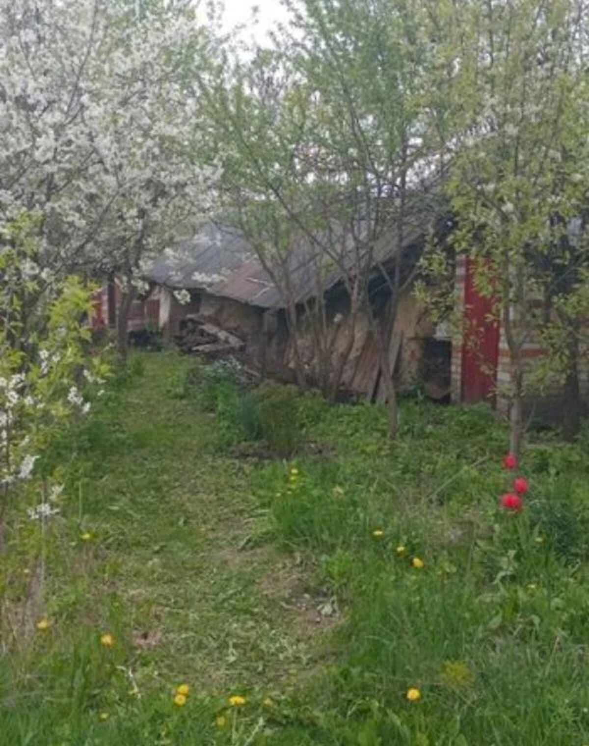 Будинок, Хороше Озеро: веранда, 25 соток, пічне опалення - фото 4