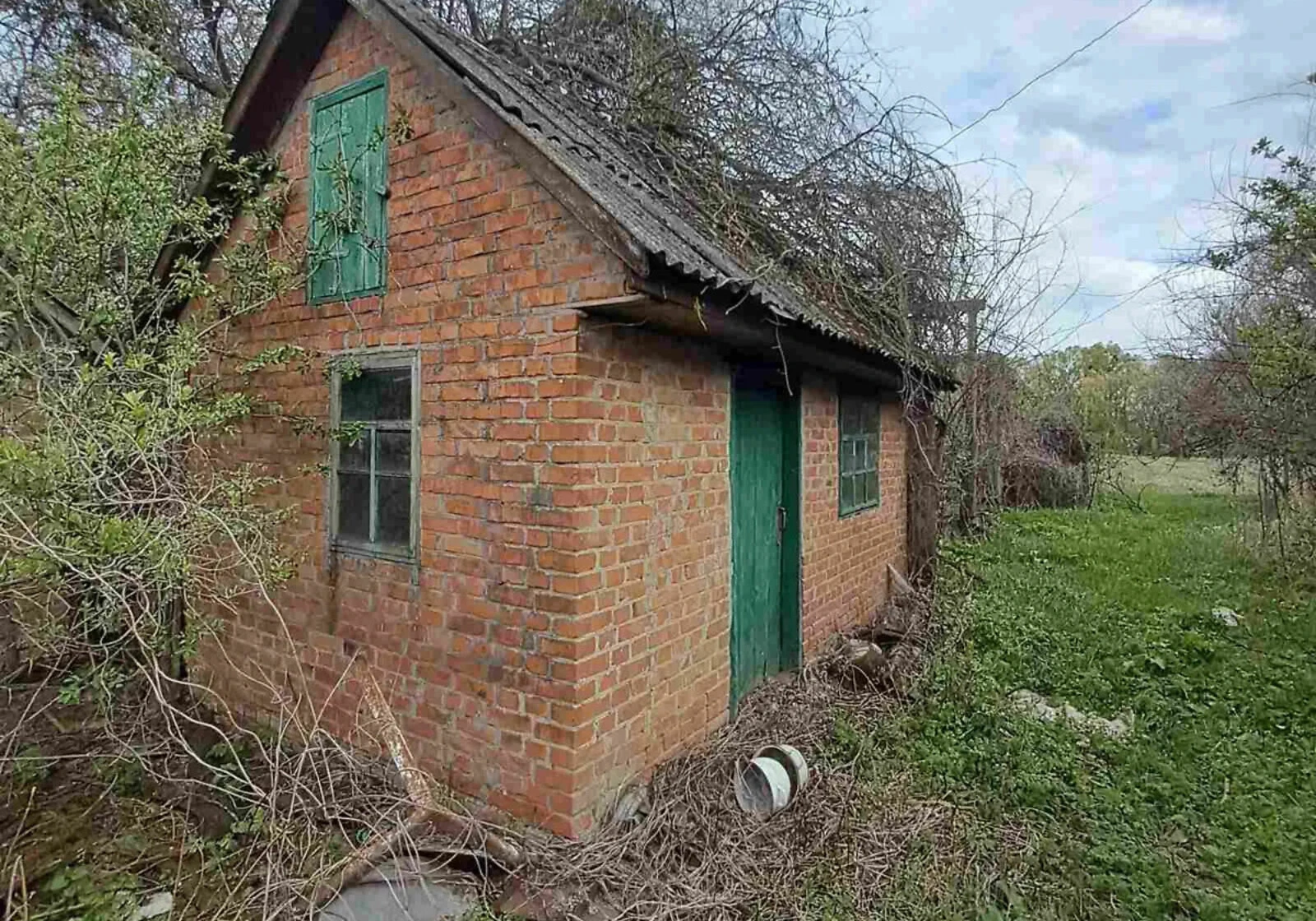 Дом, Андрияшовка: летняя кухня, кирпичные стены, фото 2