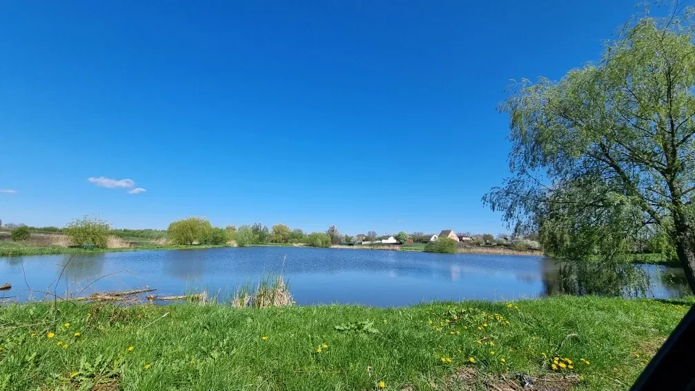 Ділянка 10 соток, Личанка: електрика, до 20 км від Києва - фото 1