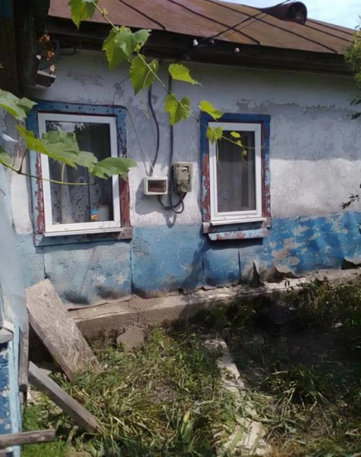 Будинок, Хрещате: сад і свердловина - фото 2