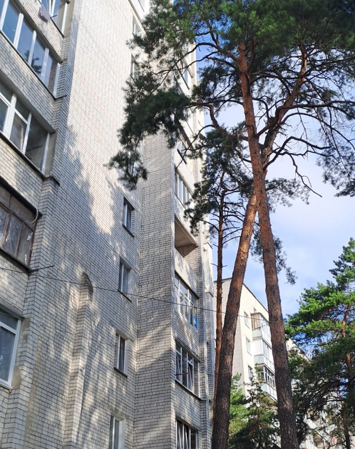 1-кімнатна квартира, Деснянський: кухня-студія, єВідновлення, фото 5