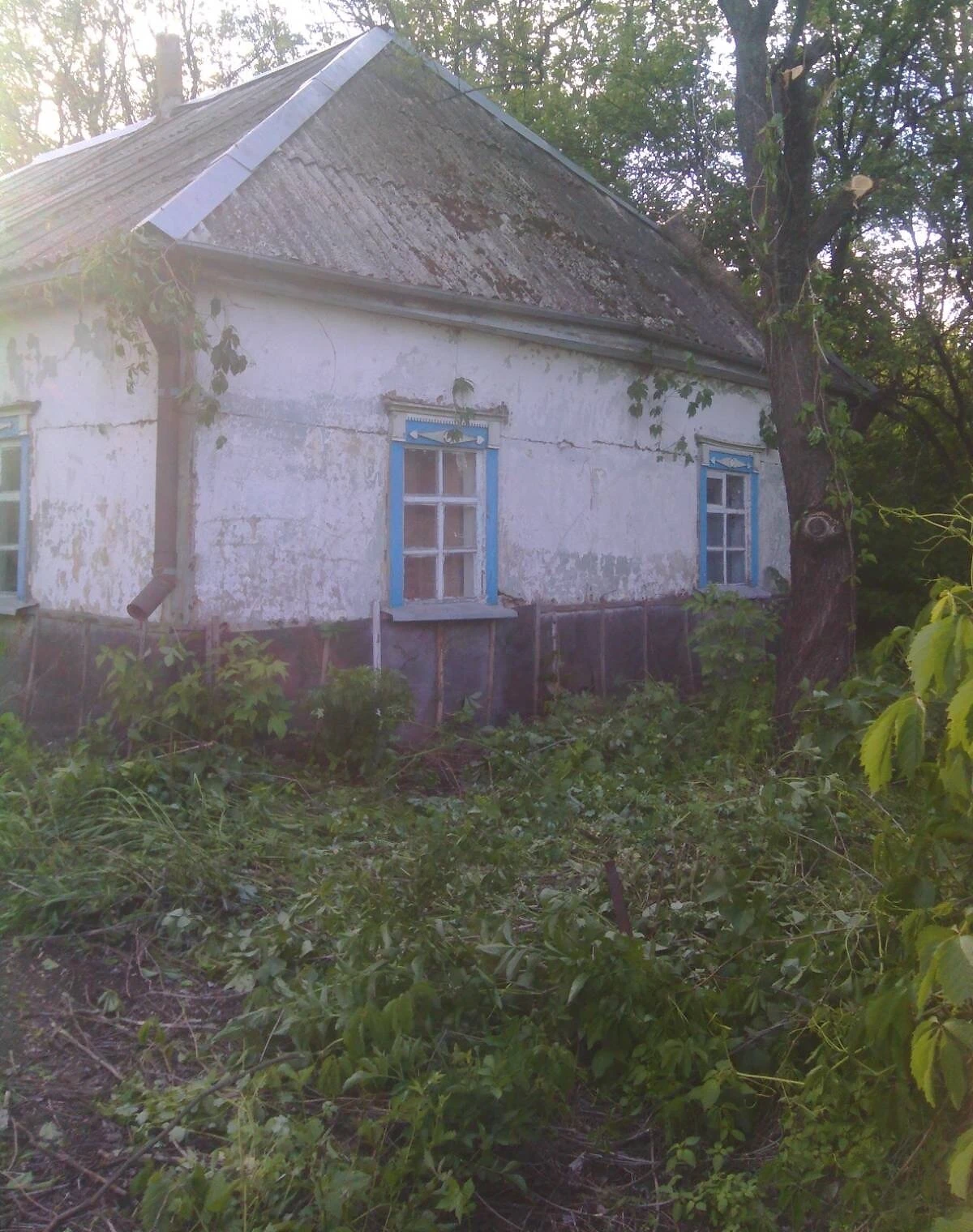 Дом, Ташань: огород и сад, рядом со школой, фото 2