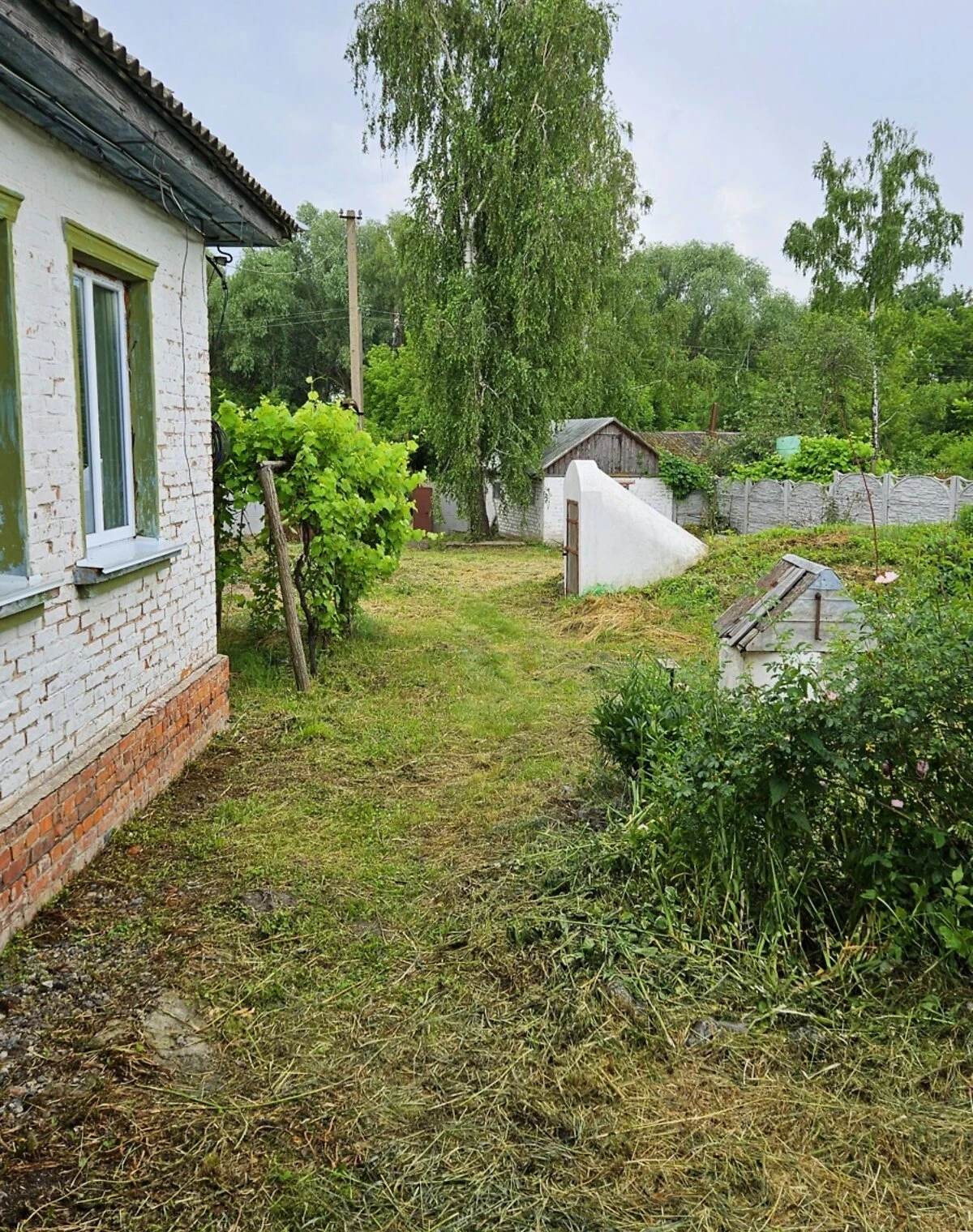Будинок, Бакланова Муравійка: 60 соток, веранда, криниця - фото 2