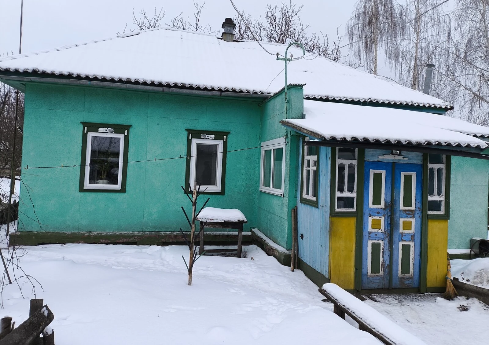 Будинок, Гужівка: 20 соток, гараж у дворі, індивідуальне опалення - фото 1
