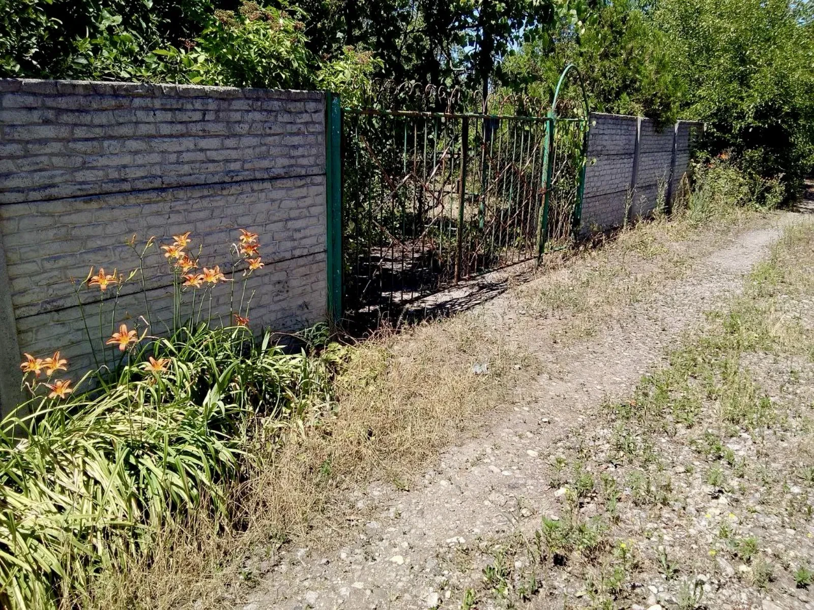 Дача, Підгородне: 25 соток, річка Самара за 10 хвилин - фото 3