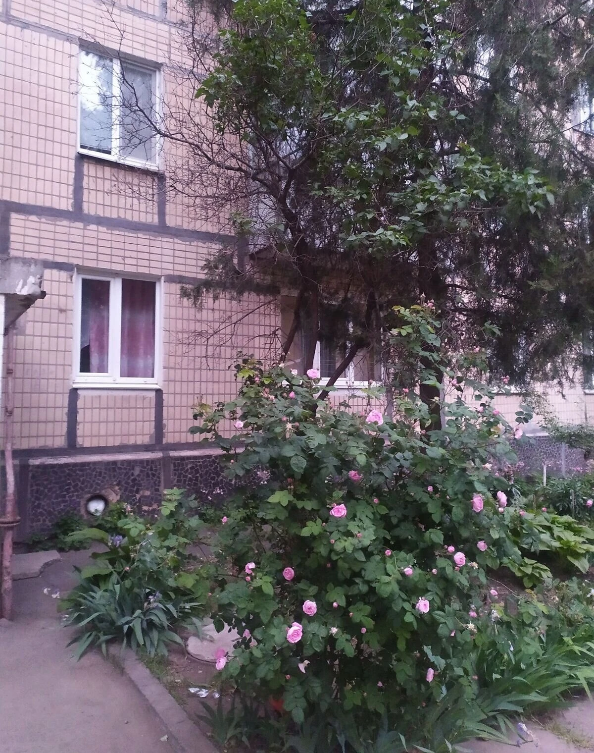 1-кімнатна квартира, Кривий Ріг: євроремонт - фото 2