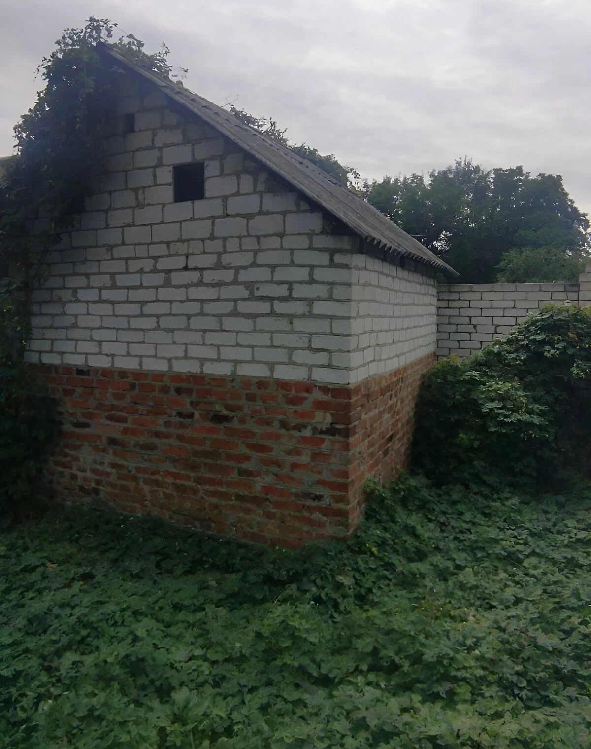 Будинок, Крюківський: гараж із підвалом, криниця, город - фото 4