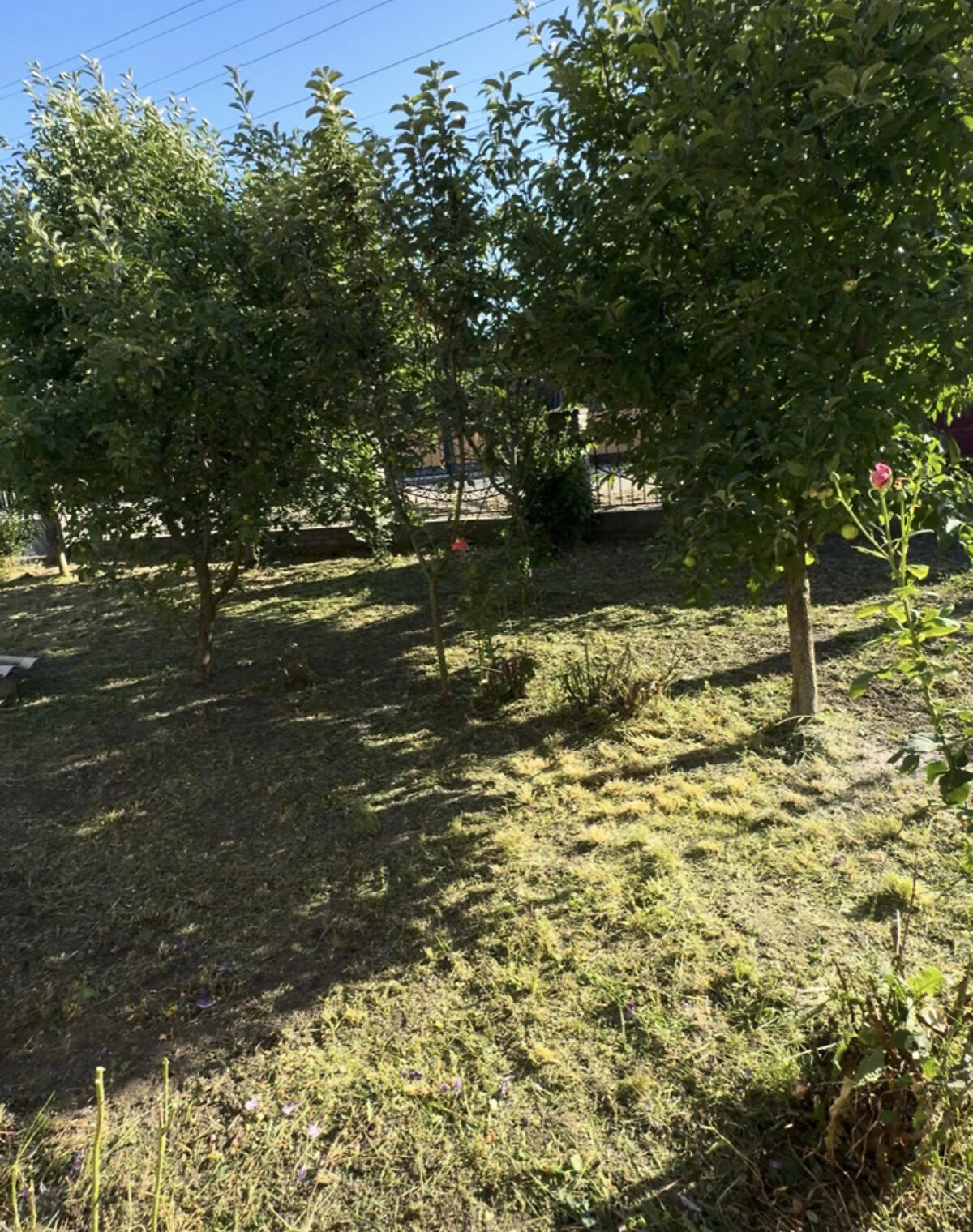 Будинок, Кельменці: веранда, гараж із підвалом, три спальні, фото 2