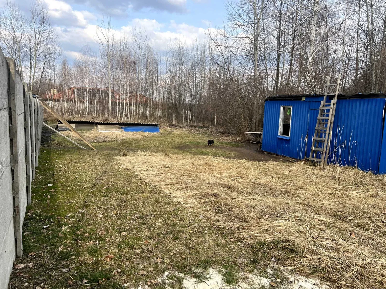 Ділянка 8 соток, Ірпінь: біля лісу, комунікації, охорона - фото 3
