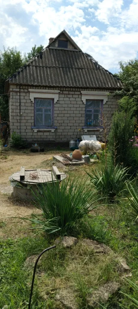 Дом, Грушевка: сад и виноградник, два вида отопления, фото 3