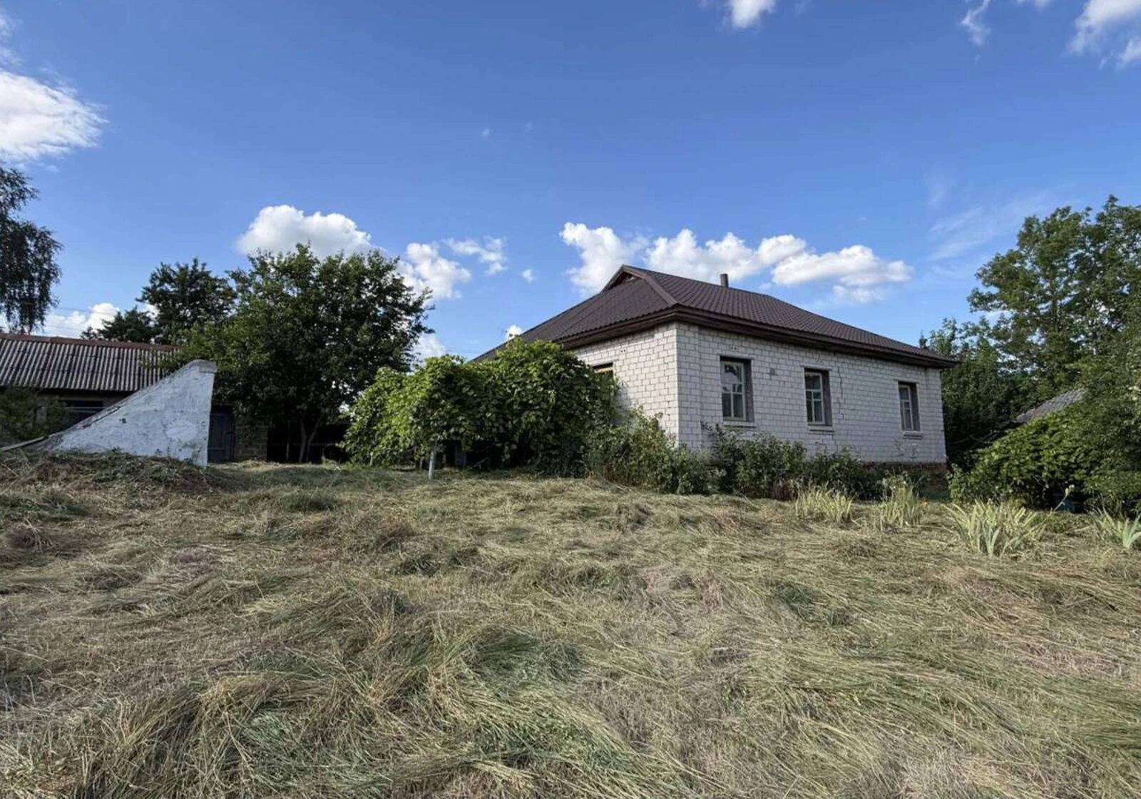 Будинок, Рудка: 52 сотки, 2 спальні, свердловина - фото 3