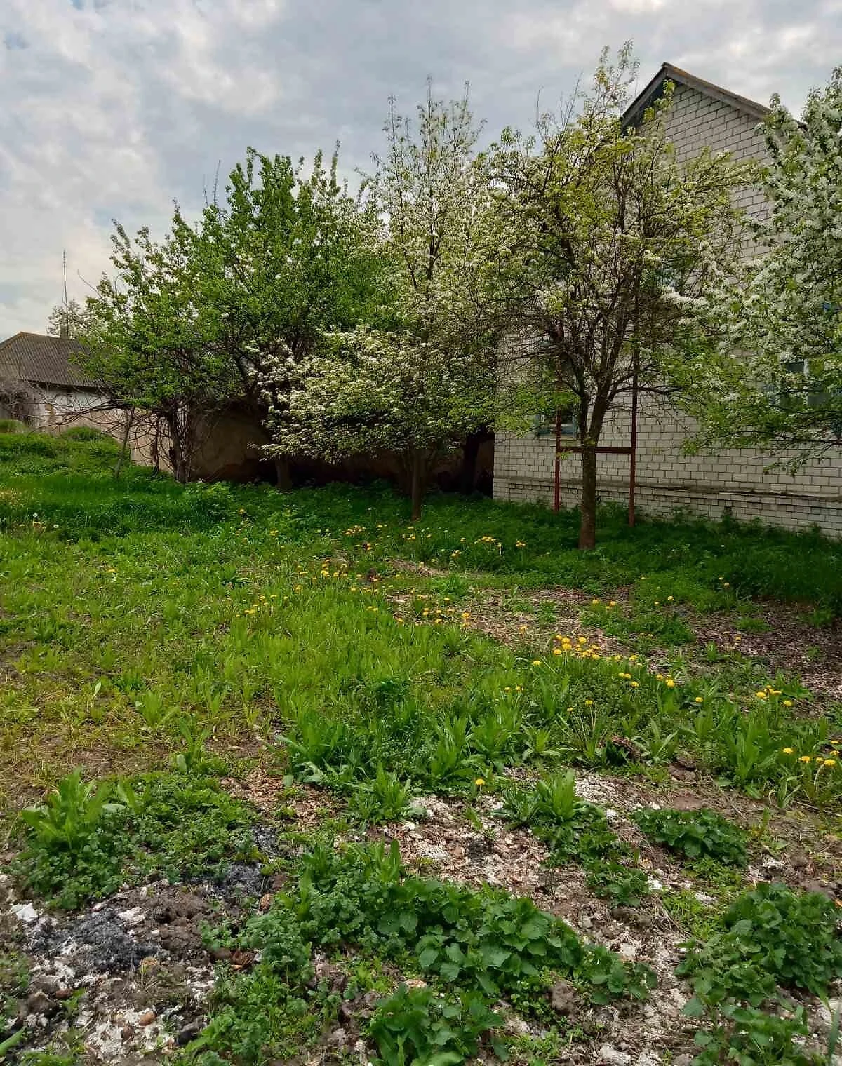 Будинок, Володькова Дівиця: веранда, свердловина, 35 соток, фото 3