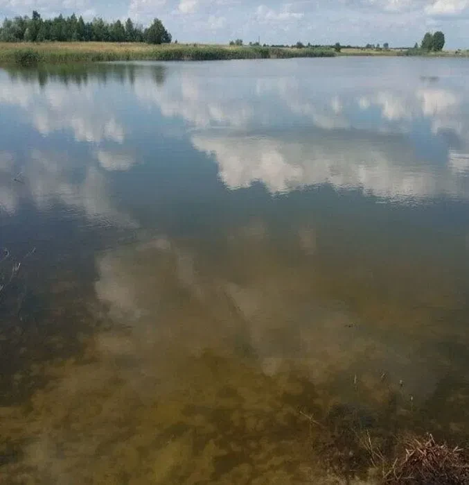 Ділянка 55 соток, Небрат: 100 м до озера Морквинка, під глемпінг - фото 4