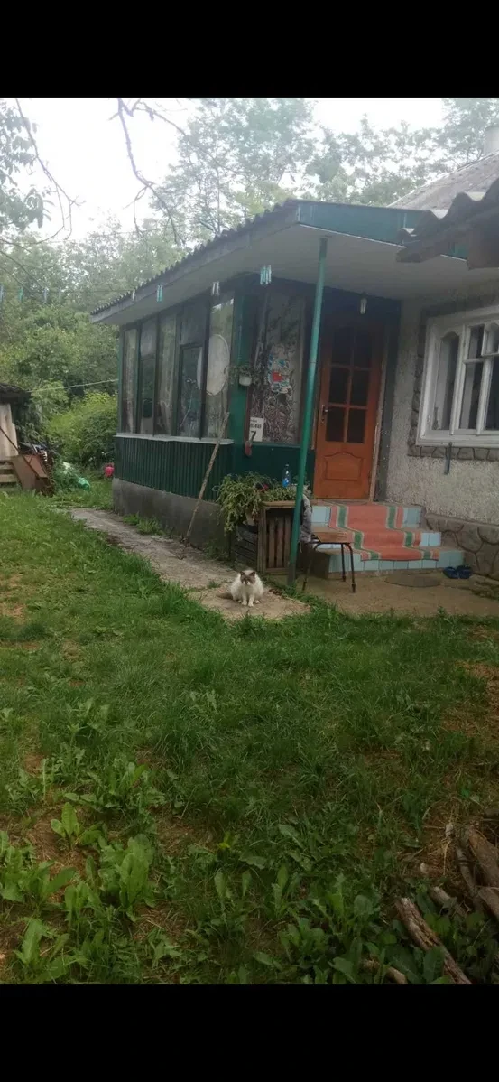 Будинок, Могилів-Подільський: гараж, 40 соток, молодий садок, фото 5