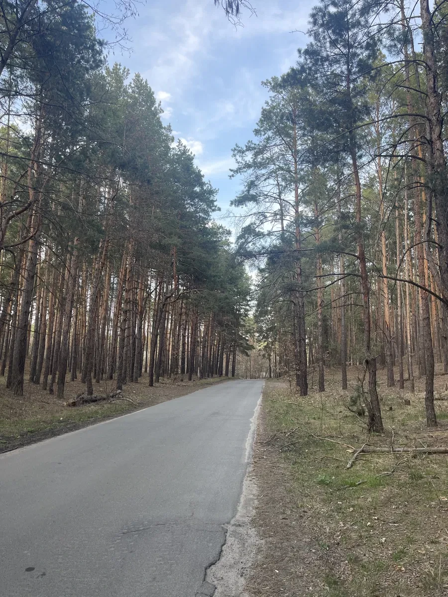 Ділянка 200 соток, Проців: 25 км до Киіва, під котеджі - фото 2