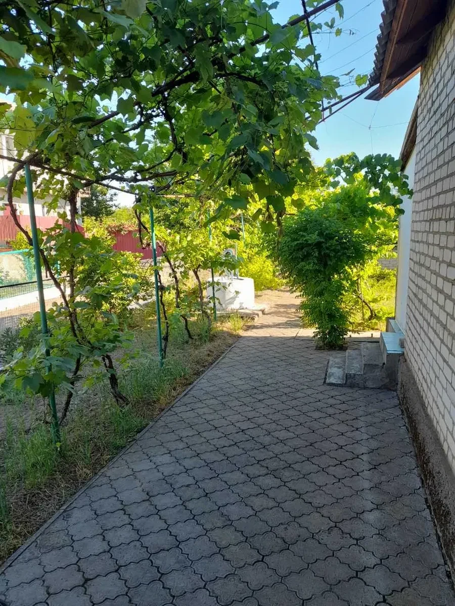 Будинок, Веселинове: 3 спальні, 18 соток, меблі й техніка - фото 2