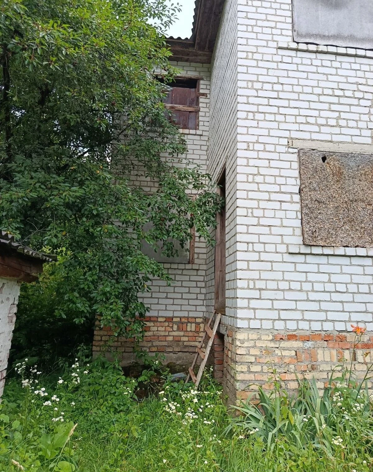 Будинок, Гуляйгородок: гараж із підвалом, опалення, сад, фото 5