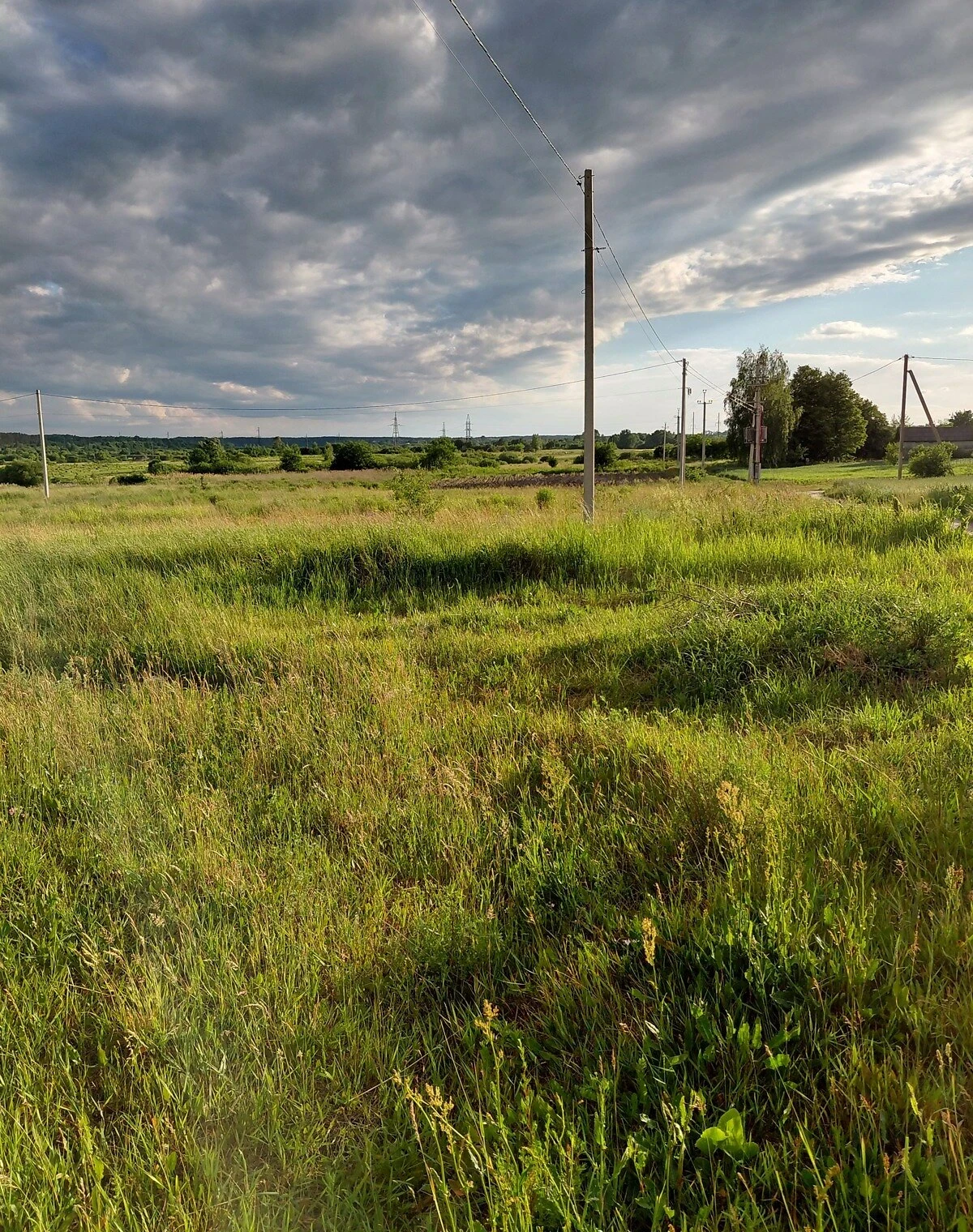 Ділянка 11.2 соток, Пухова: під житлову забудову, під гараж - фото 2