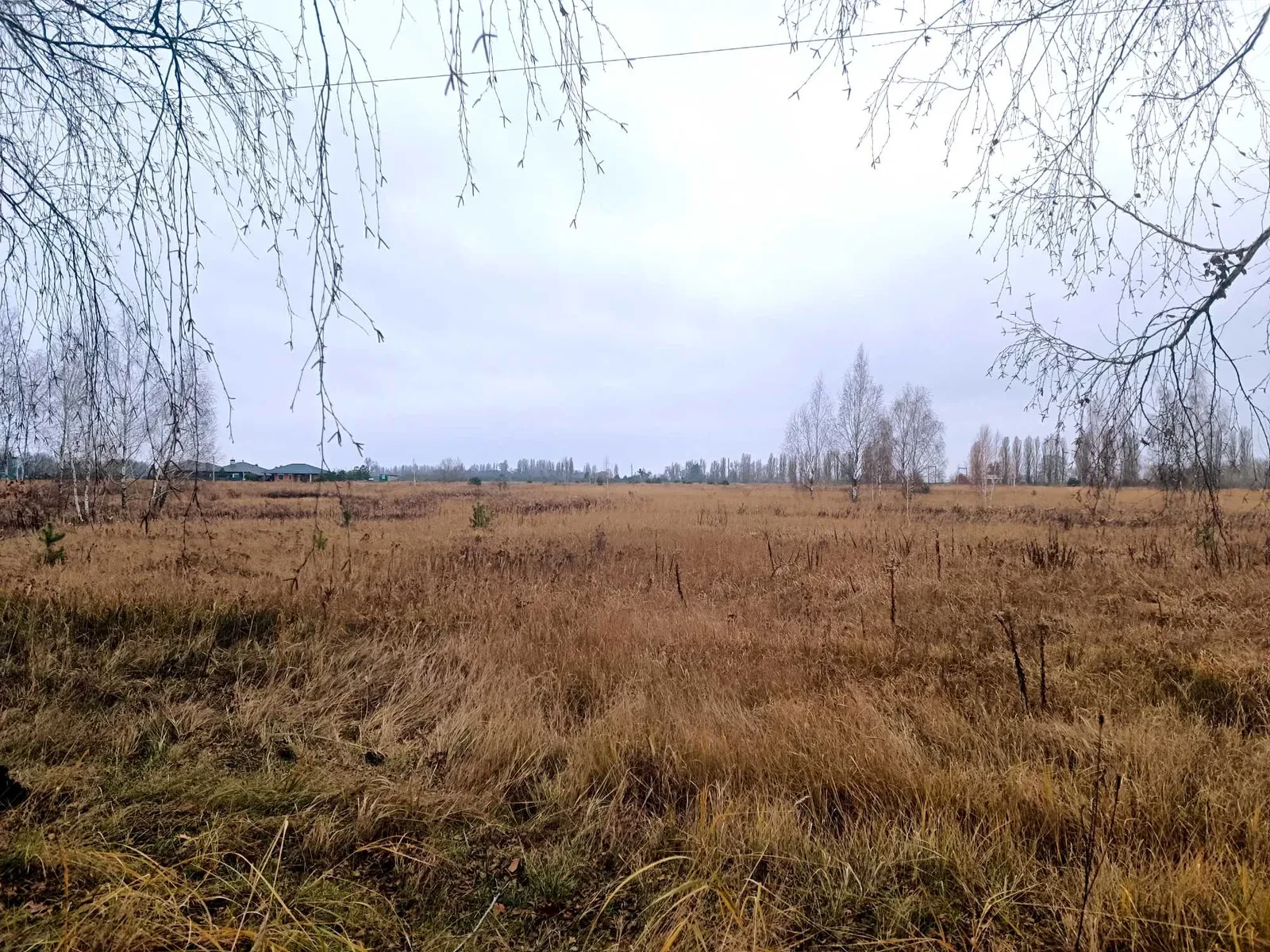 Ділянка 424 сотки, Петропавлівське: електрика, газ - фото 2