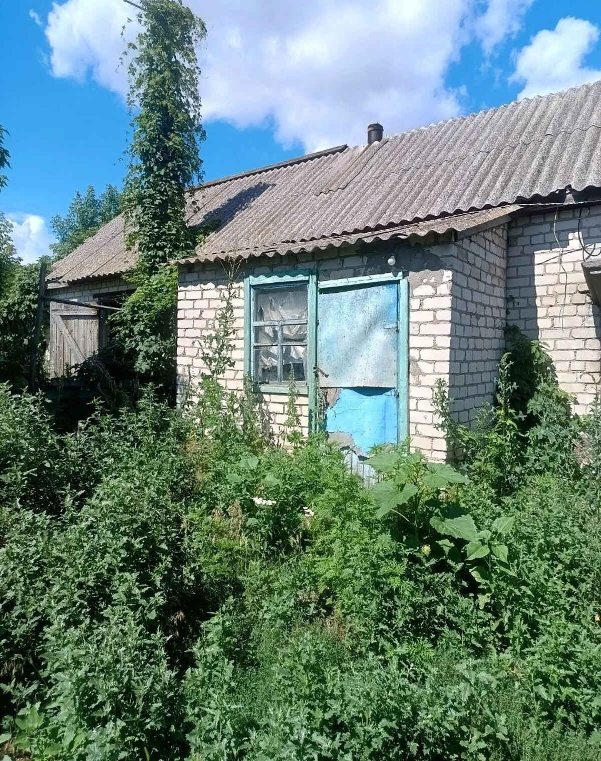 Будинок, Петрозагір’я: 4 кімнати, цегляні стіни, 1 поверх - фото 3