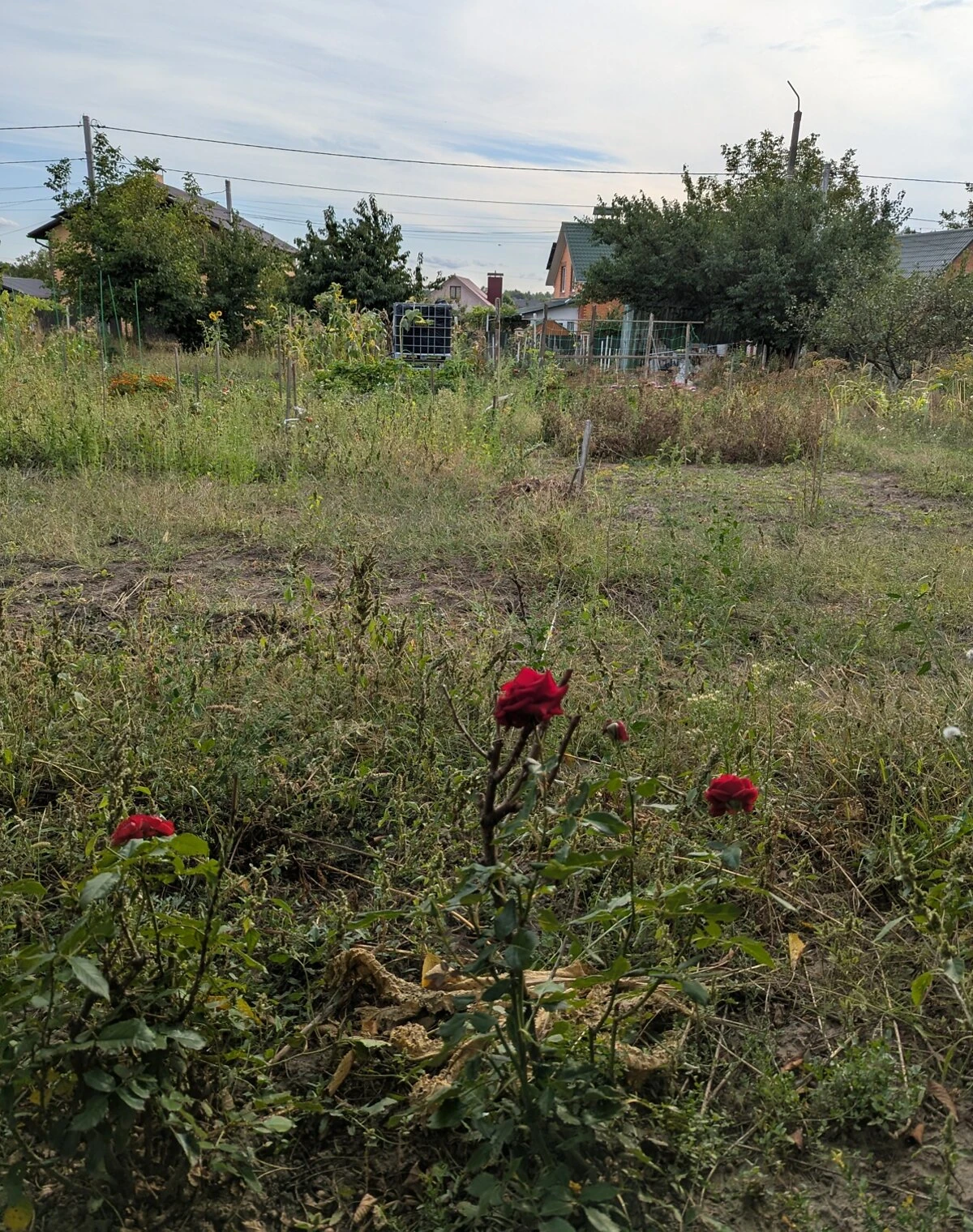 Ділянка 9.78 соток, Гніванське шосе: під забудову, свердловина - фото 2