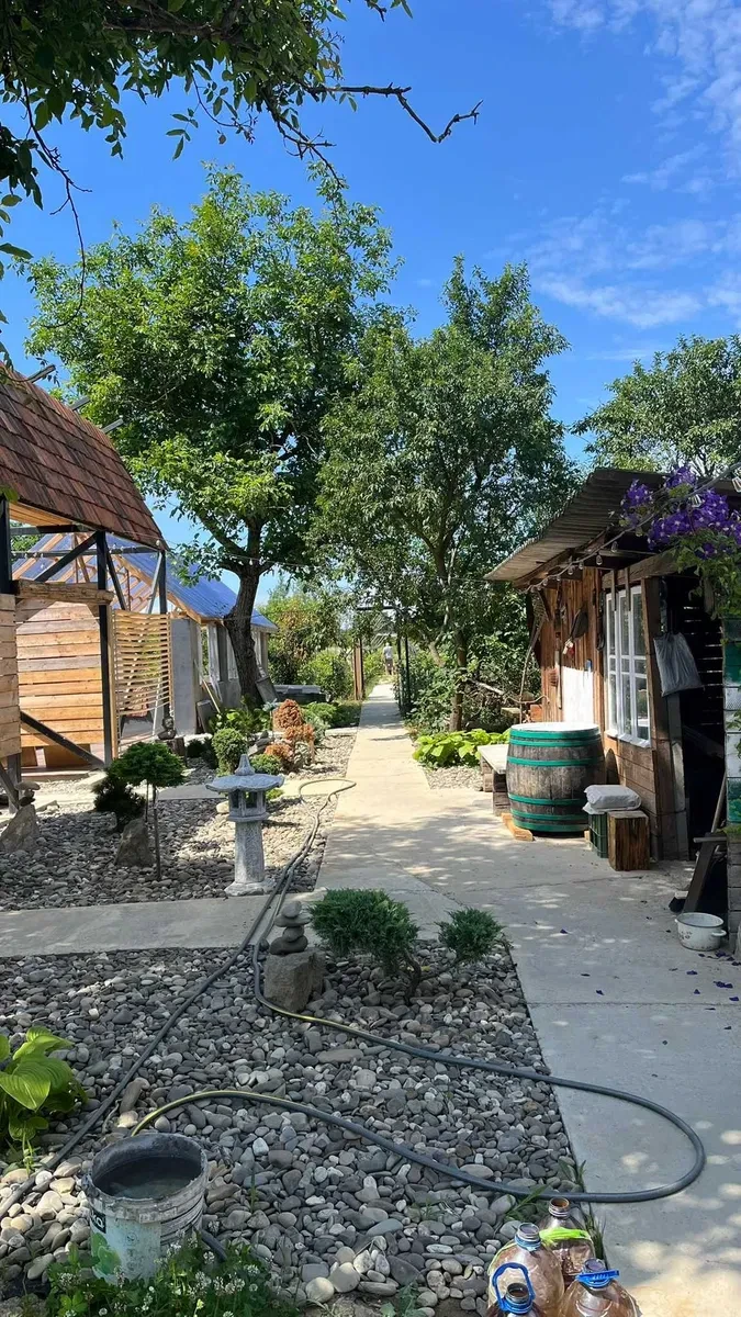 Будинок, Косонь: виноградник і молодий сад, 2 теплиці, єОселя - фото 3