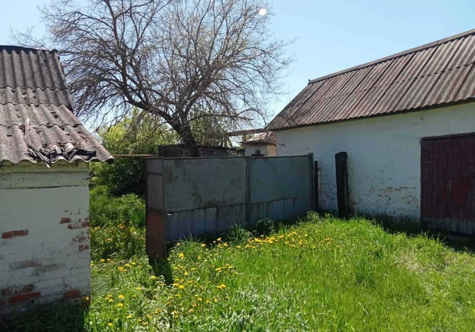 Будинок, Петрівка (Сновськ): 75 соток, веранда, зруб, фото 5