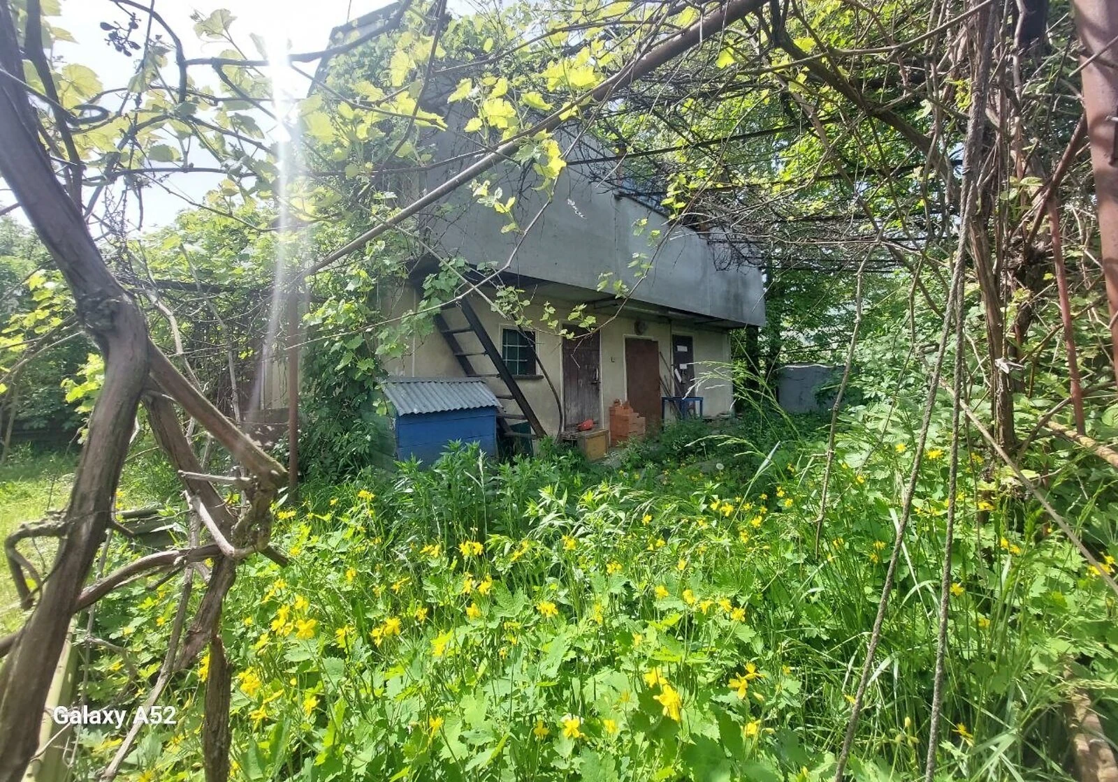 Частина будинку, Старокостянтинів: тераса, сад, літня кухня, фото 5