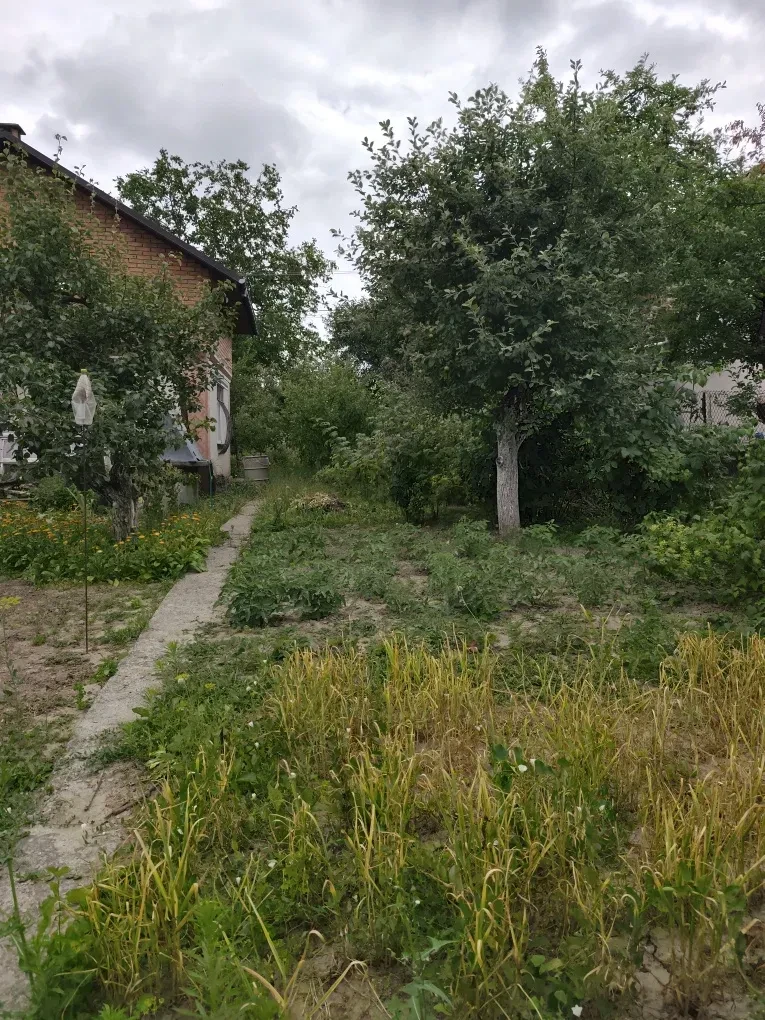Дача, Вінниця: добудована мансарда, новий дах, додаткова ділянка - фото 3