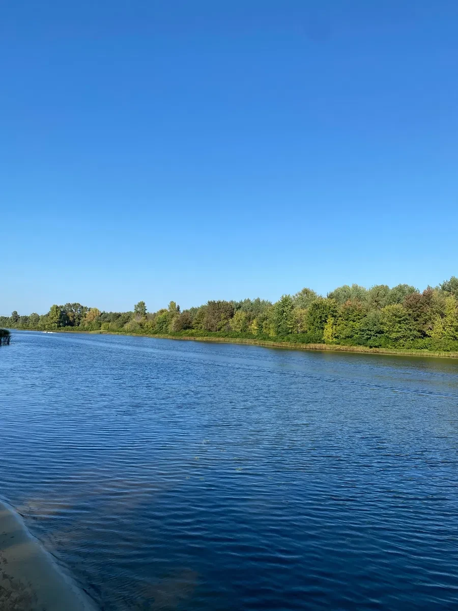 Участок 12 соток, Черкасская Лозовая: под застройку, вид на запад, фото 2