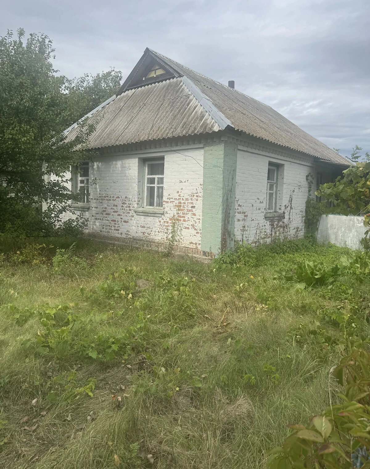 Будинок, Зарубинці: літня кухня, цегляні стіни - фото 2