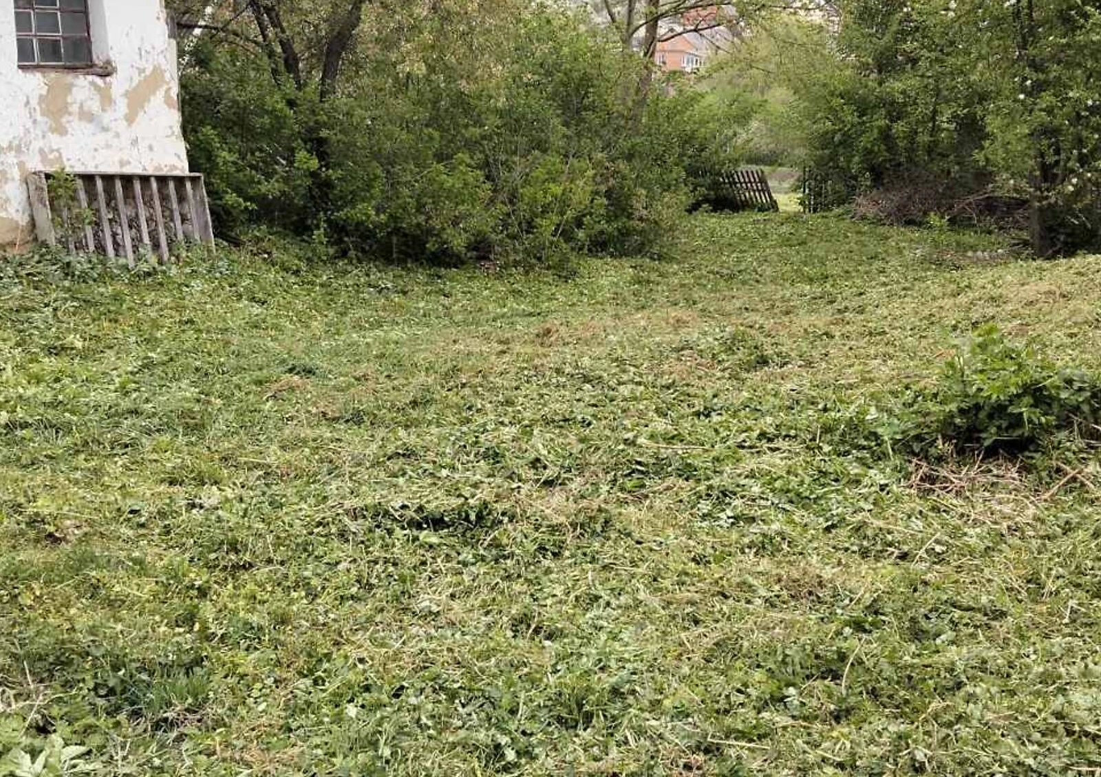 Ділянка 9.63 сотки, Ружична: під житлову забудову, електрика, паркан - фото 3