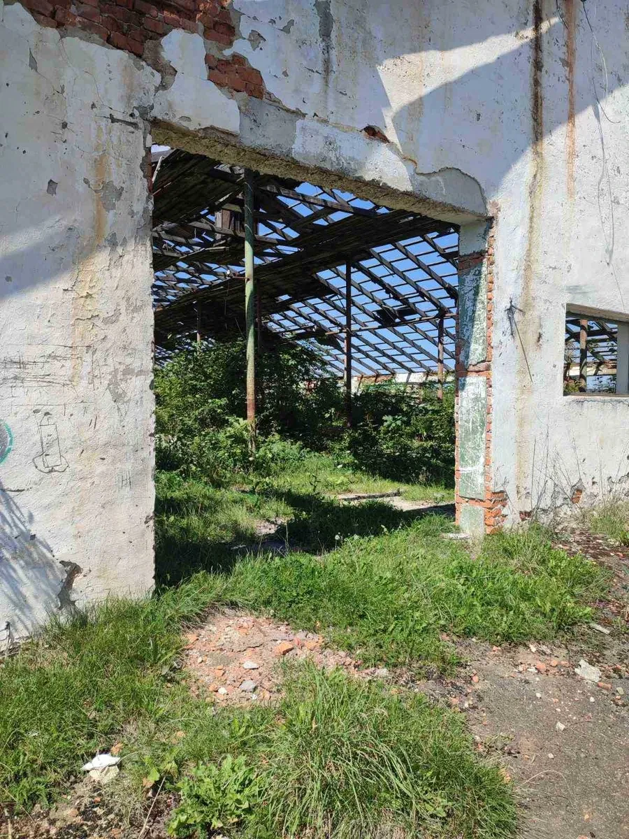Ферма, Кричка: асфальтований під’їзд, документи на землю, фото 4
