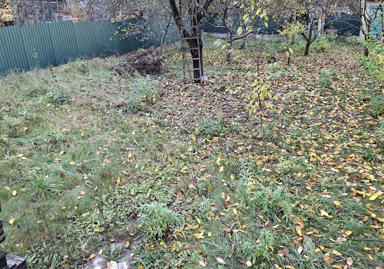 Дача, Винницкие Хутора: колодец, сад и погреб - фото 3
