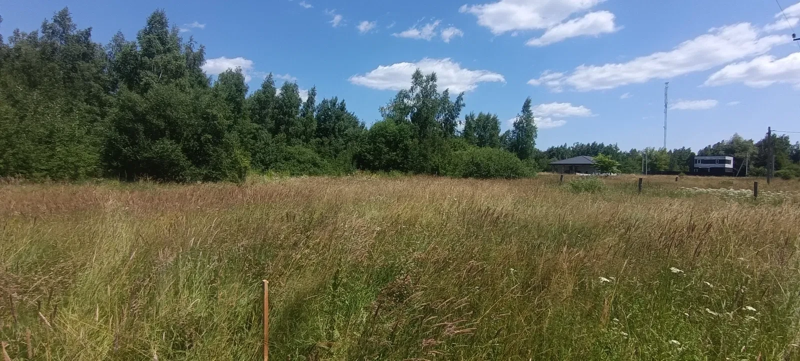 Ділянка 12 соток, Бабинці: під забудову, березовий сад - фото 4